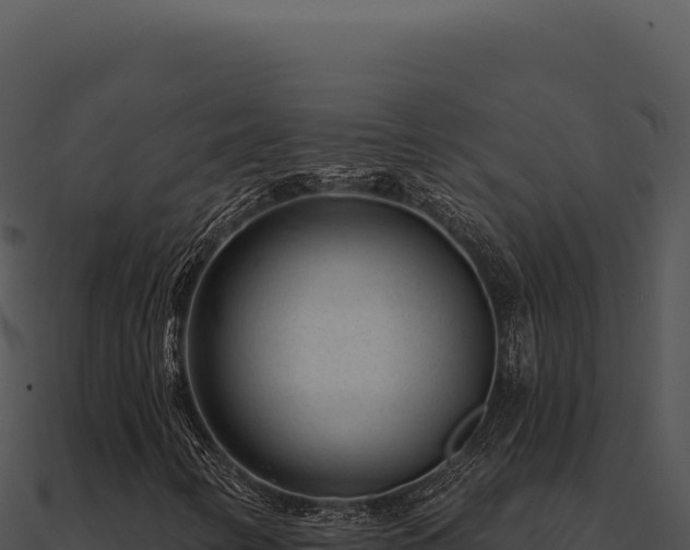 X0000091001346200708021552
