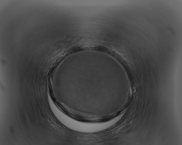 X0000091001348200708021552
