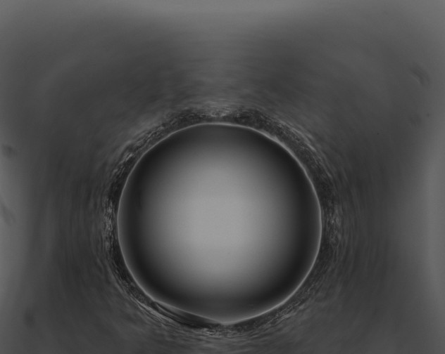 X0000091001349200708021552