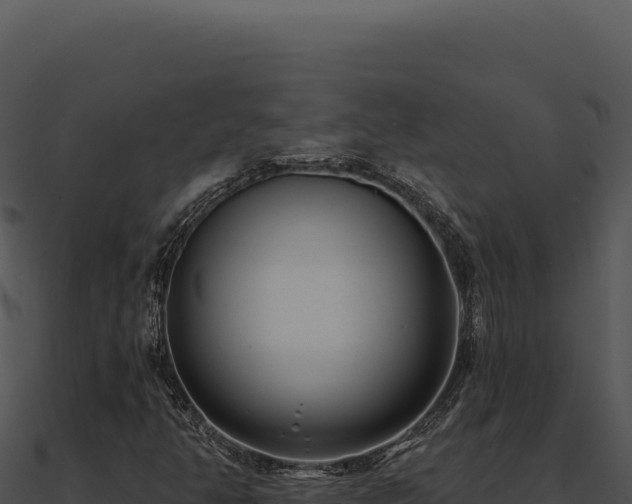 X0000091001350200708021552