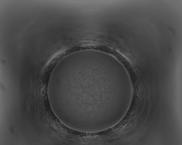X0000091001351200708021552