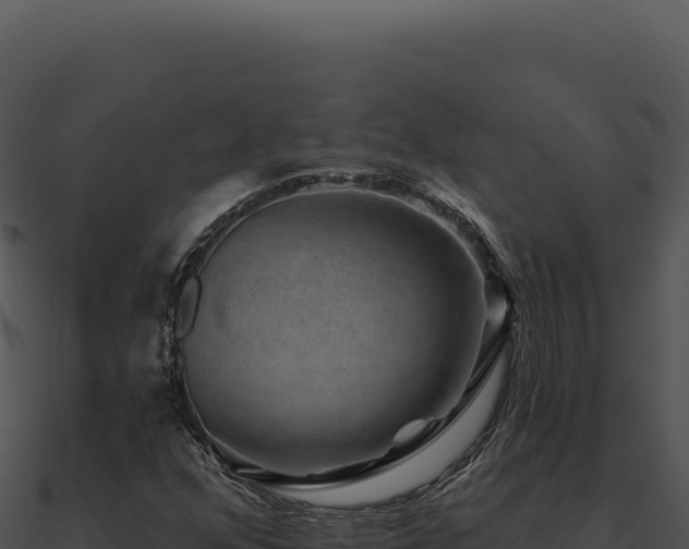 X0000091001352200708021552