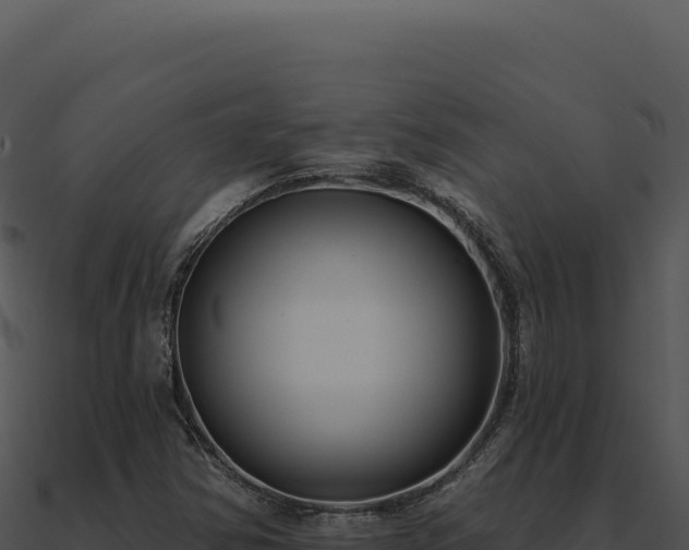X0000091001354200708021552