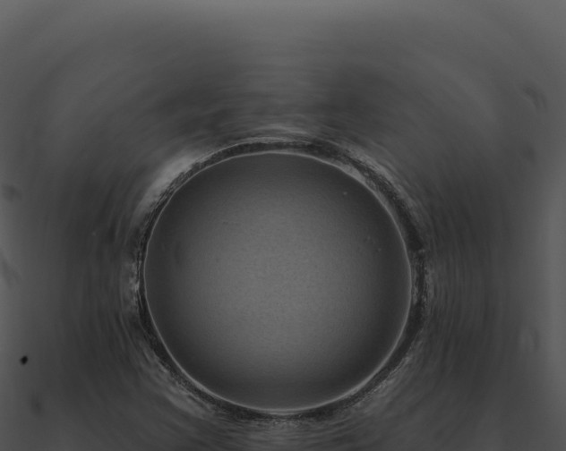 X0000091001355200708021552