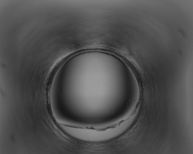 X0000091001356200708021551