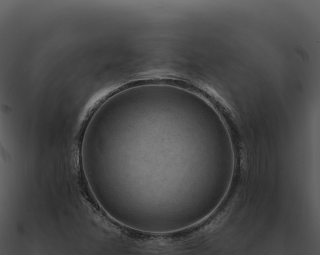 X0000091001358200708021551