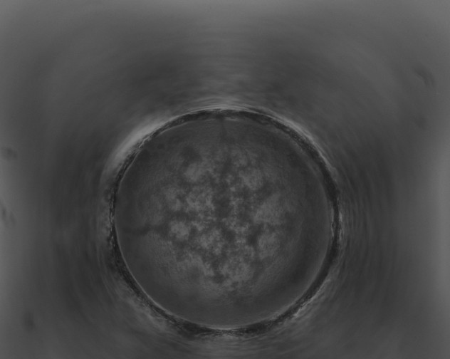 X0000091001359200708021551