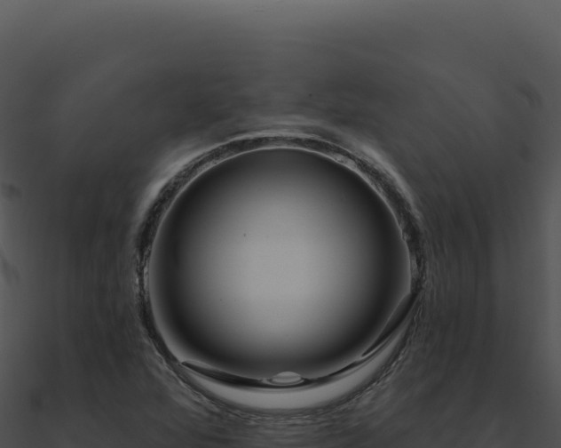 X0000091001360200708021551