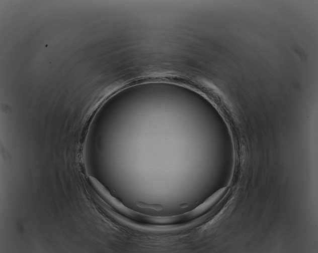 X0000091001361200708021551