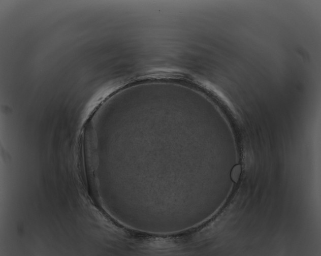 X0000091001362200708021551