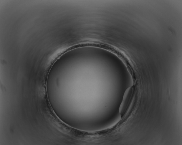 X0000091001363200708021551
