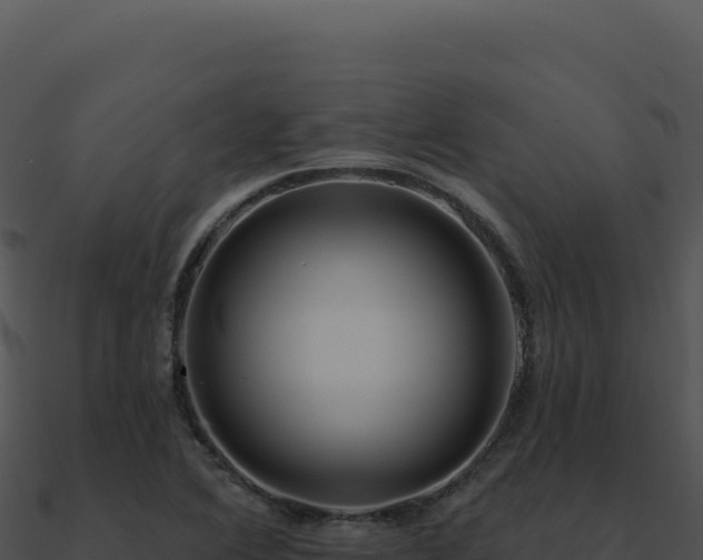 X0000091001364200708021551