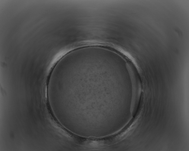 X0000091001365200708021551