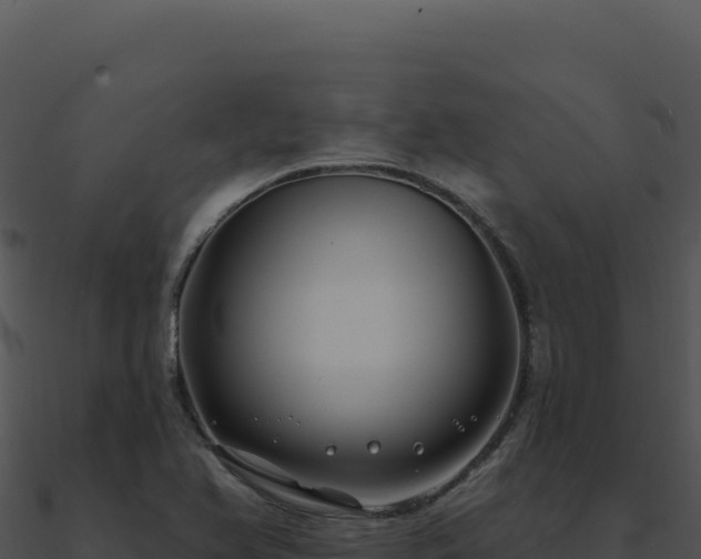 X0000091001366200708021551