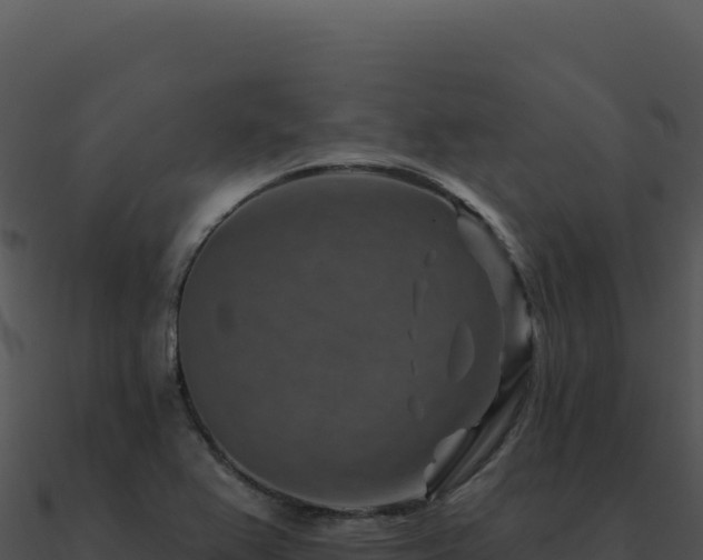 X0000091001367200708021551