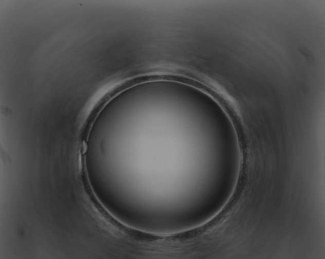 X0000091001368200708021551