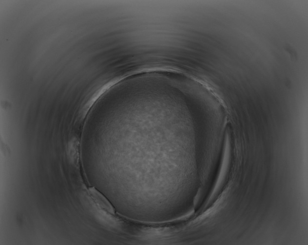 X0000091001369200708021551