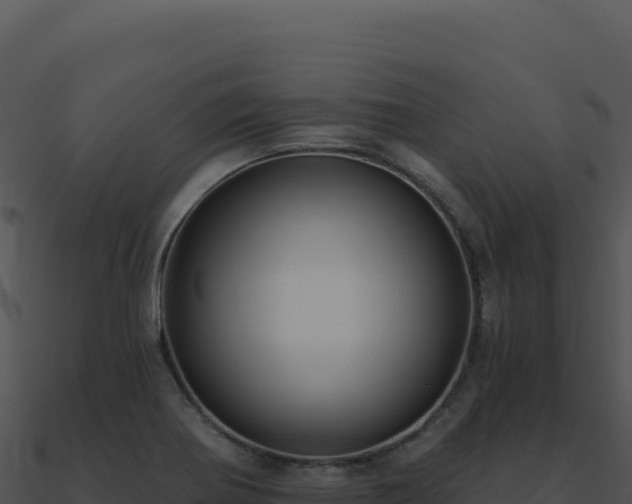 X0000091001370200708021551