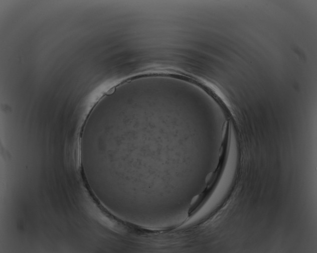 X0000091001371200708021551