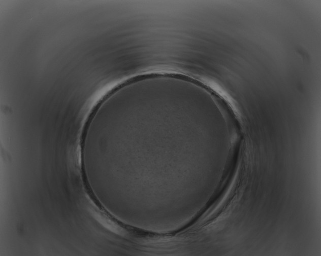 X0000091001372200708021551