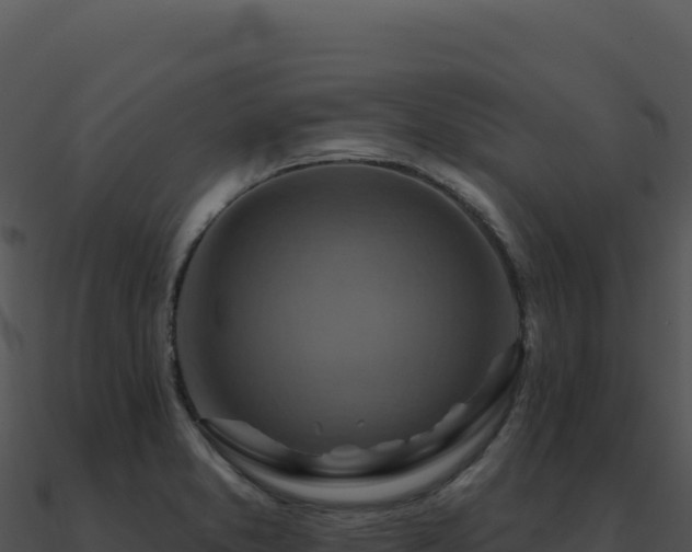 X0000091001373200708021551