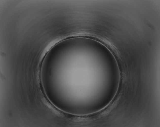 X0000091001374200708021551
