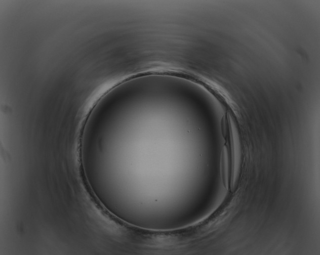 X0000091001375200708021551