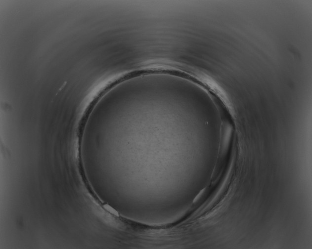 X0000091001376200708021551