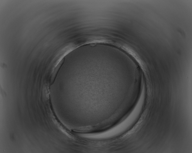 X0000091001377200708021551