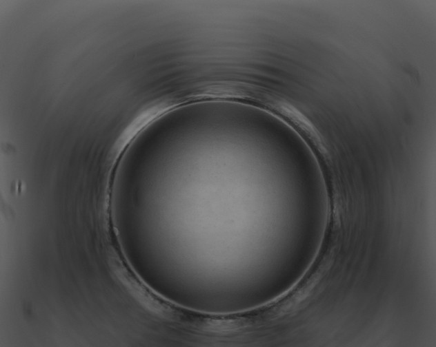 X0000091001378200708021551