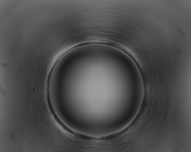 X0000091001379200708021551