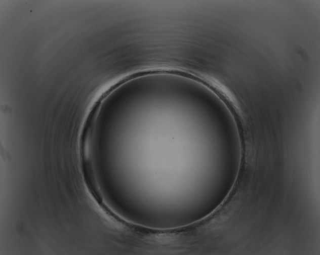 X0000091001380200708021551