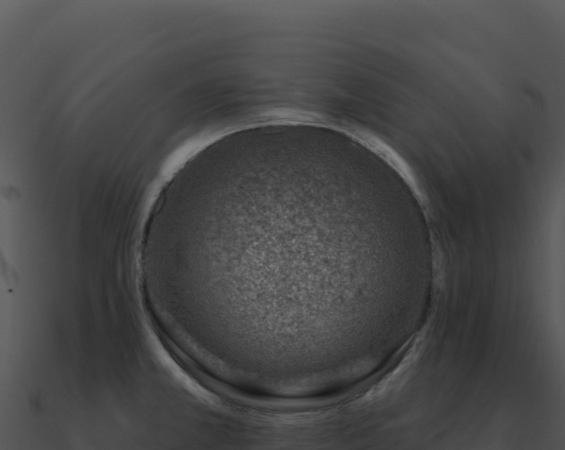 X0000091001381200708021551