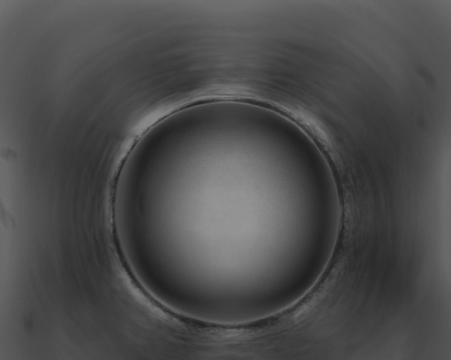 X0000091001382200708021551