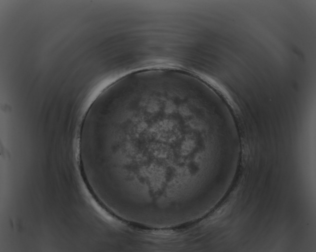 X0000091001383200708021551