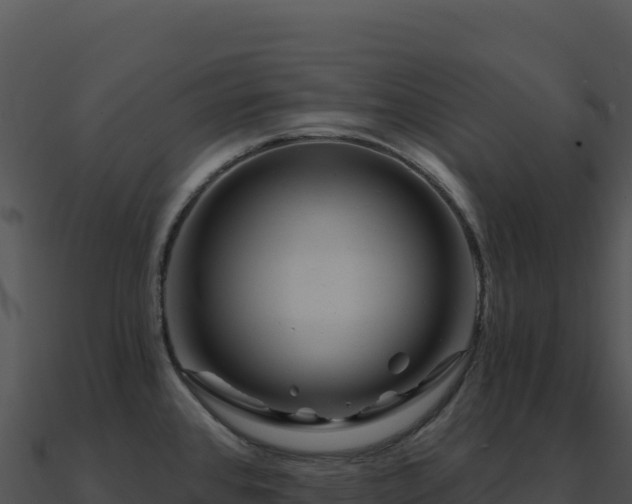 X0000091001384200708021551