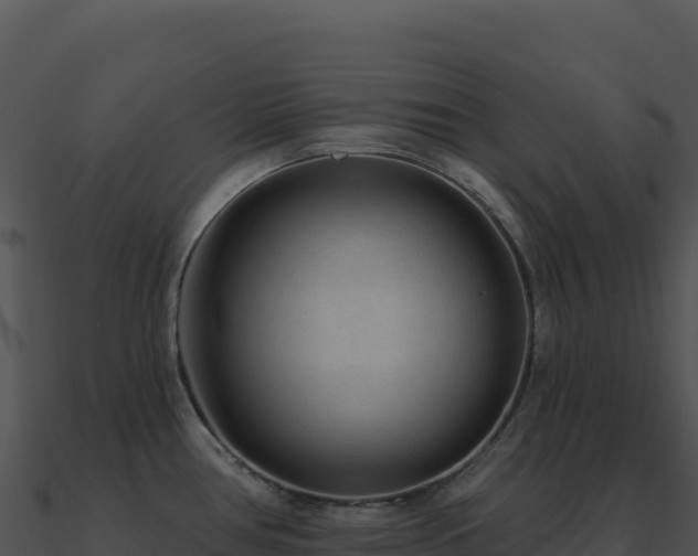 X0000091001386200708021551