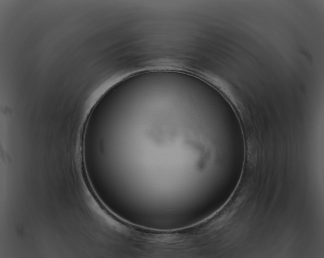 X0000091001387200708021551