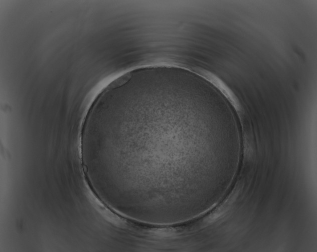 X0000091001388200708021551