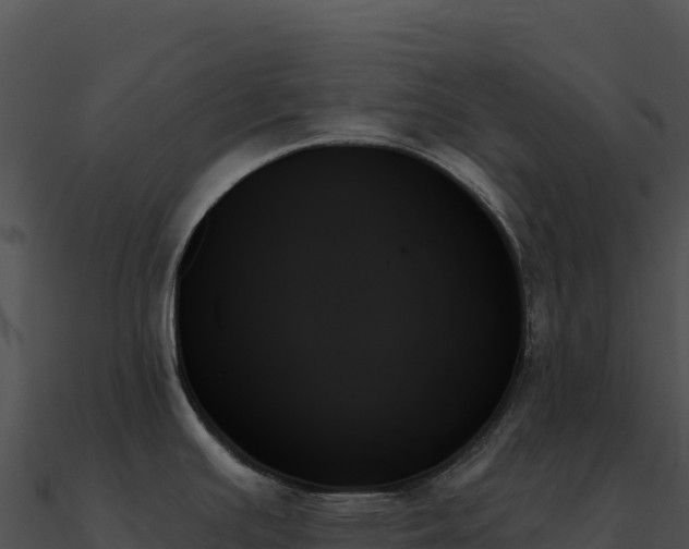 X0000091001391200708021551