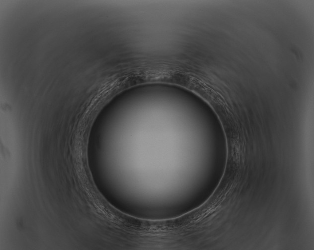 X0000091001393200708021550