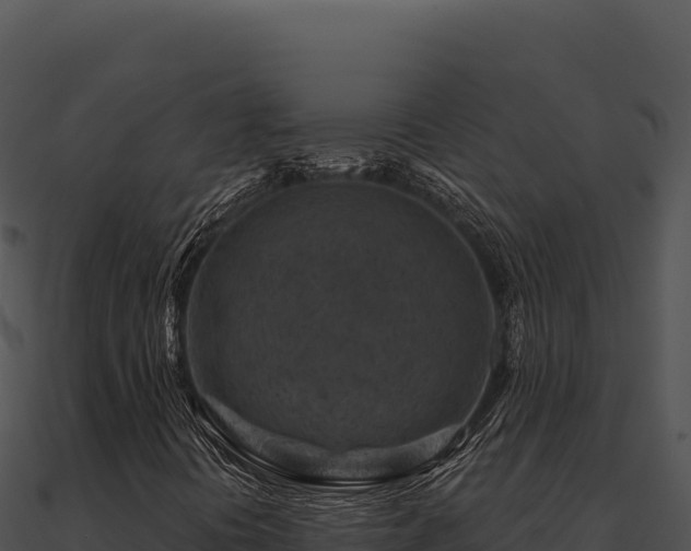 X0000091001394200708021550