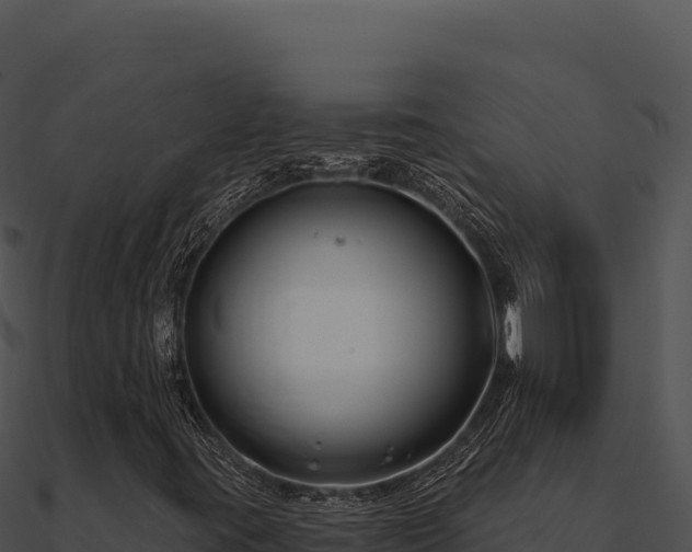 X0000091001395200708021550