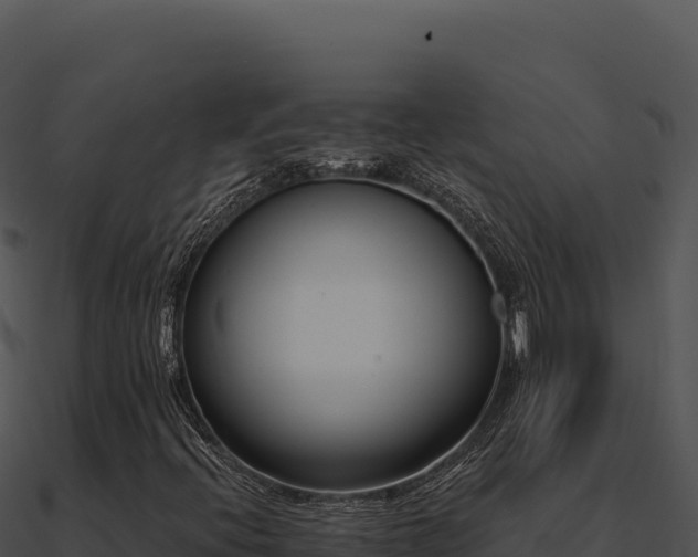 X0000091001396200708021550