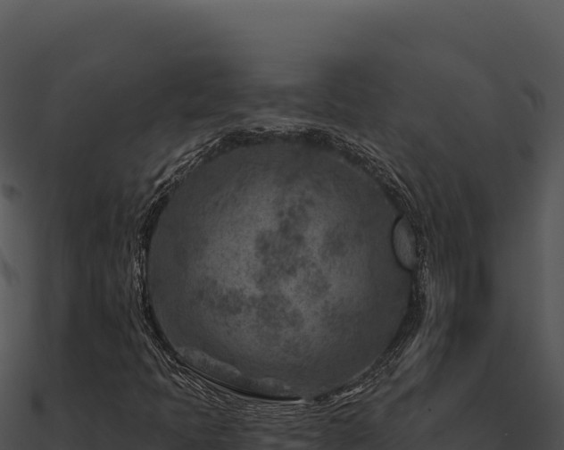 X0000091001397200708021550