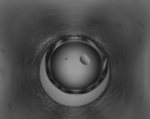 X0000091001398200708021550