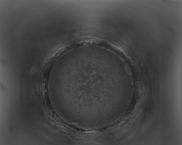 X0000091001399200708021550