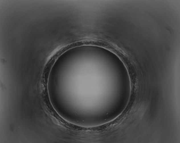 X0000091001400200708021550
