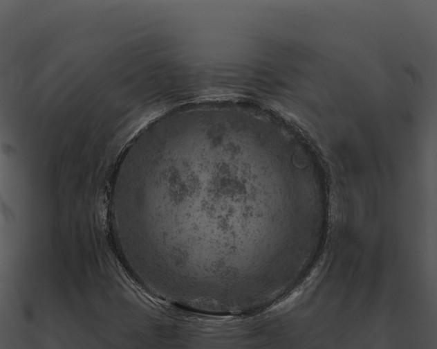 X0000091001401200708021550