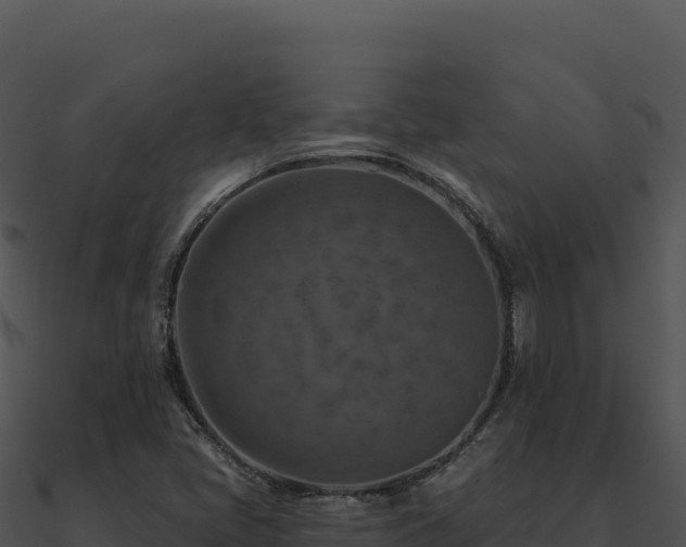 X0000091001405200708021550
